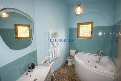 Inchiriere vila cu personalitate zona Tudor Vladimirescu - 8