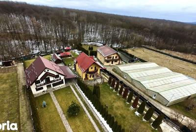 Casă cu 6 camere cu Teren 1629 Mp în Plopu - 11