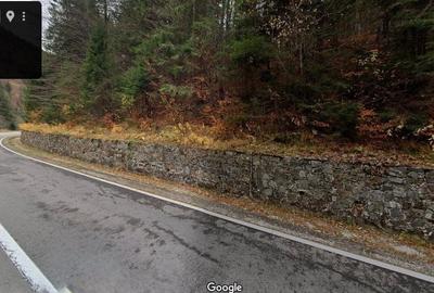 TEREN EXTRAVILAN PADURE PISCUL NEGRU ARGES - 4