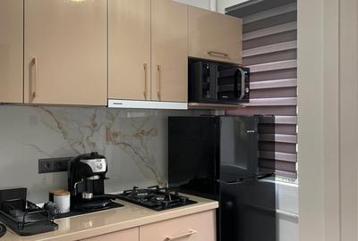 Garsonieră decomandată în Dristor - 3