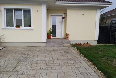 Casă cu 3 camere cu Teren 300 Mp în Bucovăț (Remetea Mare) - 12