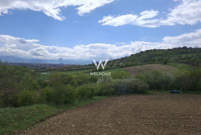 Teren agricol extravilan de 18175 mp, în Gușterița - 3