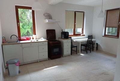 PROPRIETAR ofer casa de inchiriat - 8