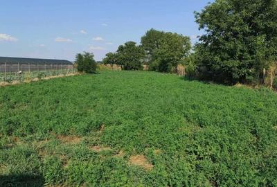 Casă cu 4 camere în Cilieni - 7