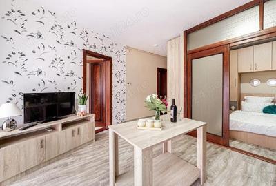 Apartament cu 2 camere decomandat în Cicir - 9