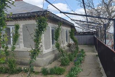 Vand casa la tara - 3