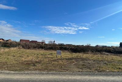 Teren de 1000 mp, în Exterior Vest - 3