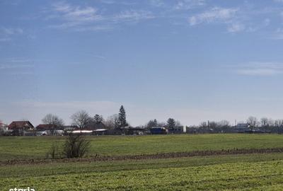 Spațiu comercial, în Trestieni