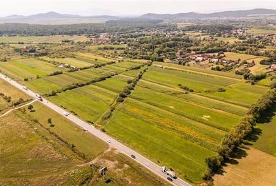 Teren extravilan Lunca Calnicului langa E574 - 6
