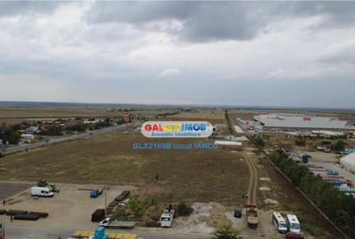 Teren Mihailesti Penny - 8