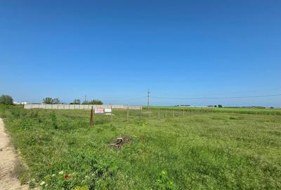 Teren Construcții extravilan de 2000 mp, în Movilița - 5