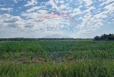 De vanzare teren 10.001 mp sat Oniscani, comuna Filipe?ti - 2