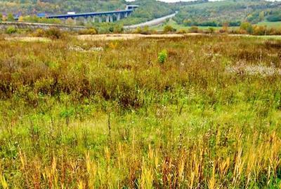 Teren de 325 mp, în Săcel