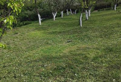 Casă cu 2 camere cu Teren 3500 Mp în Central - 5