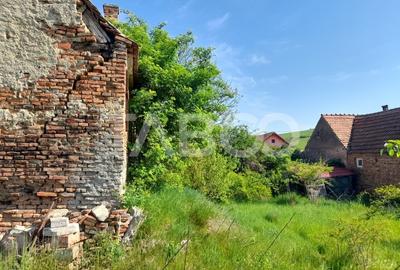 Teren de vanzare 4500 mp in centrul comunei Hamba judetul Sibiu - 11