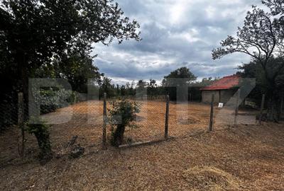 Teren intravilan si extravilan - 2