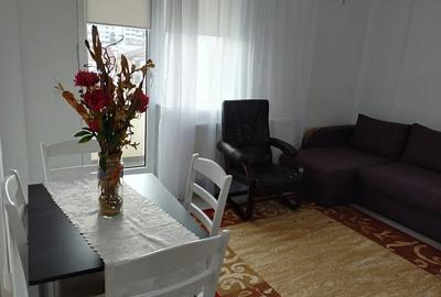 Apartament cu 2 camere decomandat, mobilat în Viilor - 3