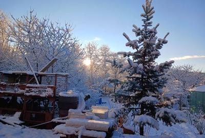 Casă cu 4 camere în Drajna - 2