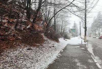 Teren de 4220 mp, în Bușteni - 3