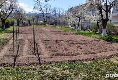 Casă cu 8 camere cu Teren 1669 Mp în Gilău - 2