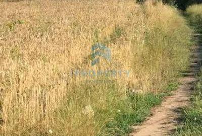 Teren de 1588 mp, în Cernica - 3