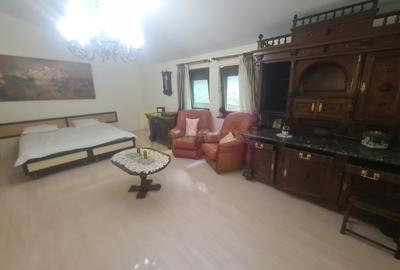 Vila de vanzare in Campina - Zona Lunca Mare - 16