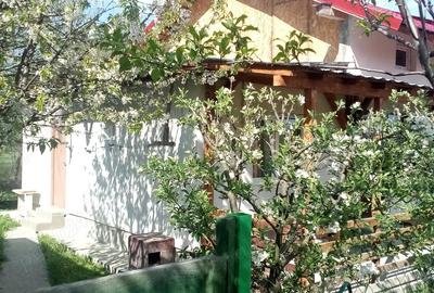 Casa de vanzare Ocnele Mari