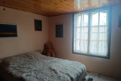 Casă cu 2 camere în Santăul Mare - 8