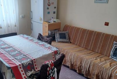 Casă cu 3 camere în Dosu Bricii - 1