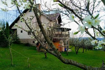 Casă în Ghioșești - 4