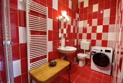 Apartament cu 2 camere la casa, Pet Friendly, situat central - pe Strada Lunga - 2