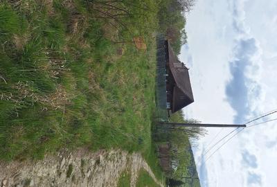Teren de 800 mp, în Viștișoara - 3