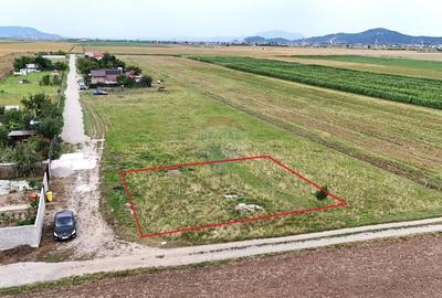 Comision 0 % |Teren 428mp | Harman | Strada Campului 20 - 7