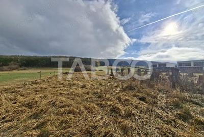 Teren de 890 mp, în Rășinari - 1