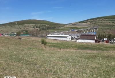 Teren de 4900 mp, în Feleacu