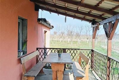 Casă cu 5 camere cu Teren 541 Mp în Felnac - 1