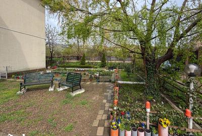 Garsonieră în Valea Lupului - 3