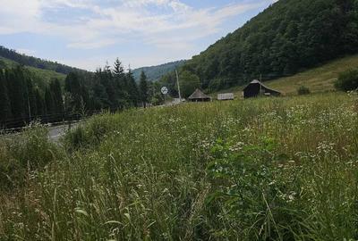 Teren de 5500 mp, în Hurez - 4