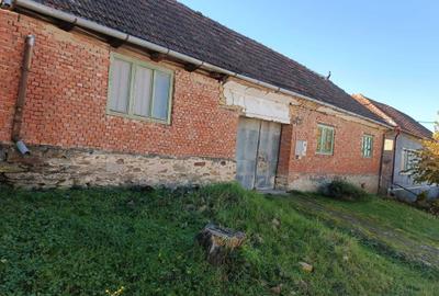 Casă cu 3 camere în Târnova - 7