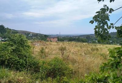 Teren de 2000 mp, în Tomești - 3