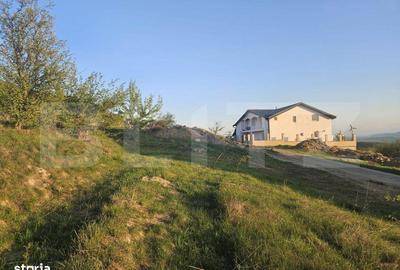 Teren de 1150 mp, în Ciurila - 3