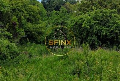 Teren intravilan de vanzare in Breaza Strada Primaverii - 11