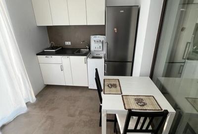 Garsonieră decomandată, mobilată în Craiovei - 13