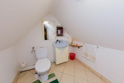 Apartament pe 2 niveluri de vânzare Victoriei - 14