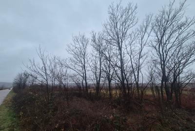 TEREN EXTRAVILAN CRASNA - 3