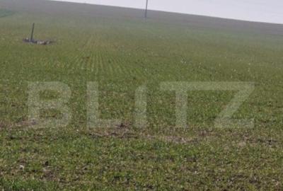 Teren intravilan cu o suprafata 1500 mp in zona Metro - 5