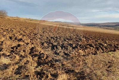 Teren agricol intravilan de 7200 mp, în Secuieni - 1