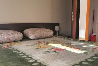 Apartament 2 camere in Deva, ultracentral - 12