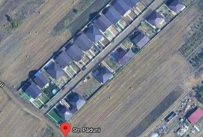 Teren Construcții intravilan de 1588 mp, în Cernica - 2