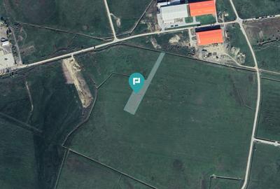 Teren agricol 1 ha, Sânandrei, - 3